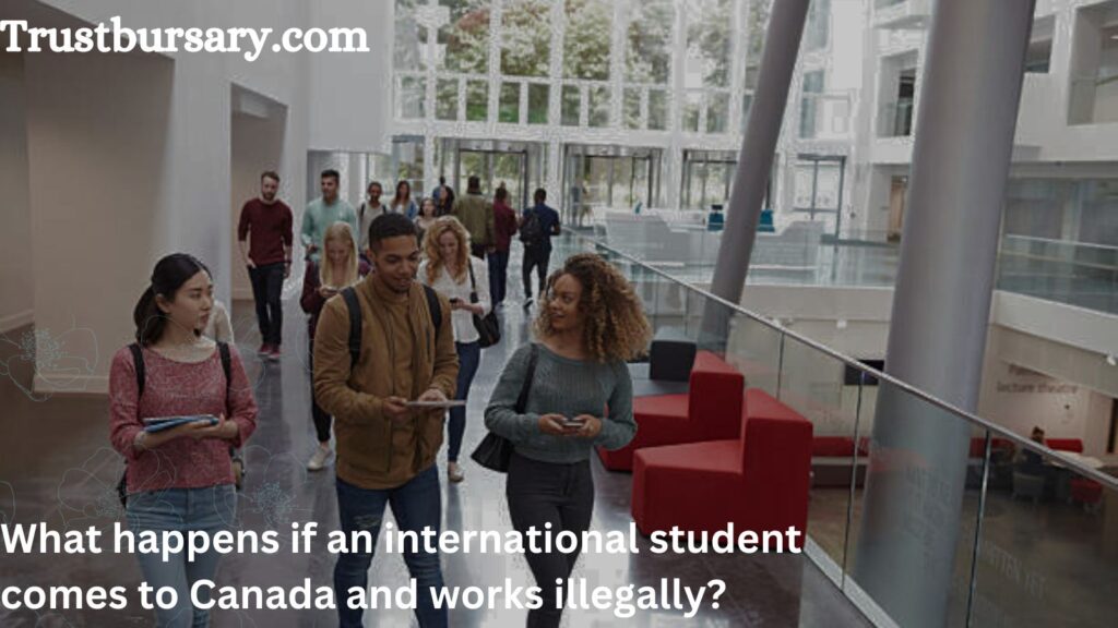 What happens if an international student comes to Canada and works illegally