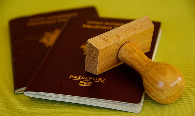 how can I check my Nigerian passport status online